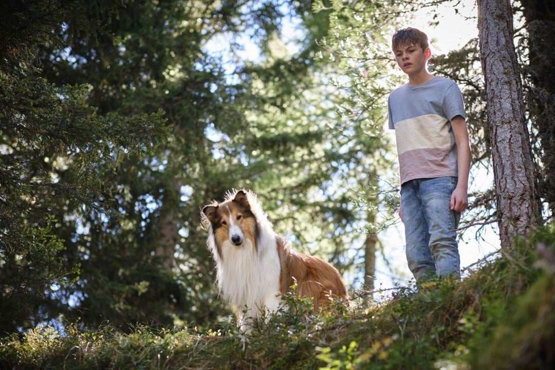 Lassie - Ein neues Abenteuer : Photo Nico Marischka