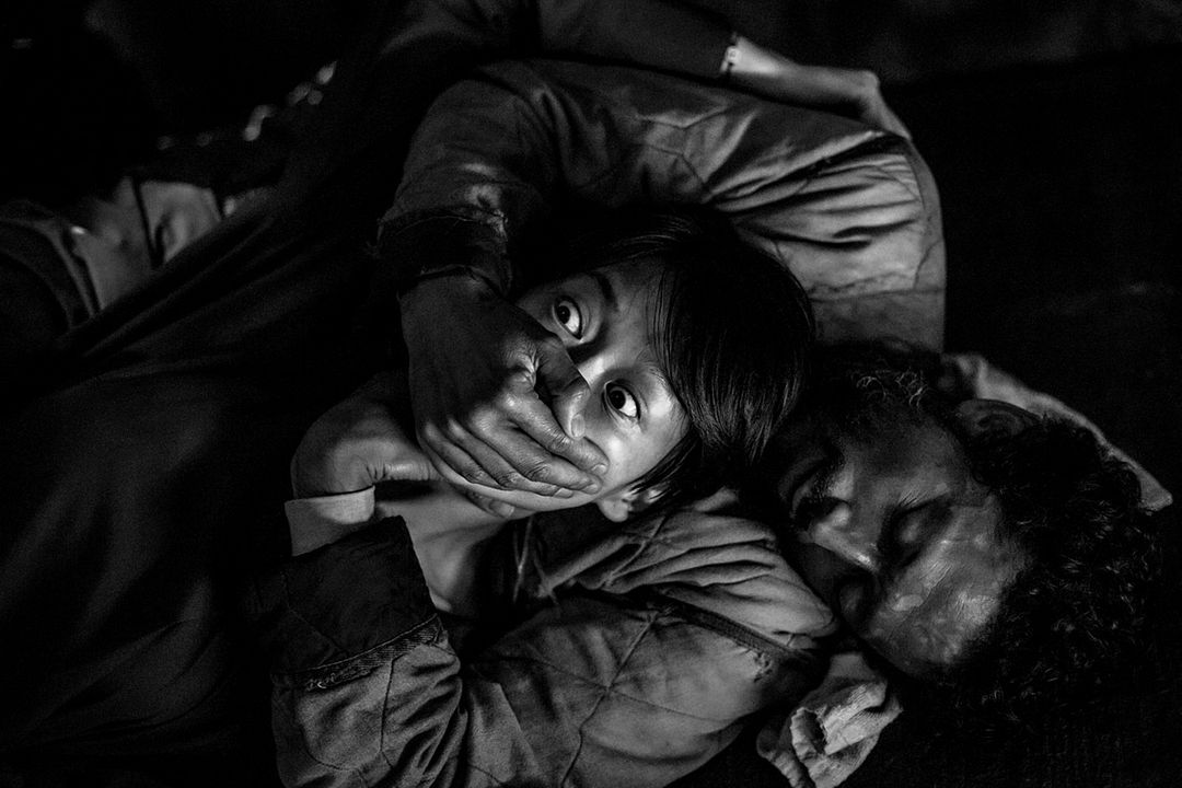 Limbo : Photo