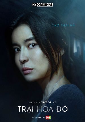 Trai Hoa Do : Photo promotionnelle