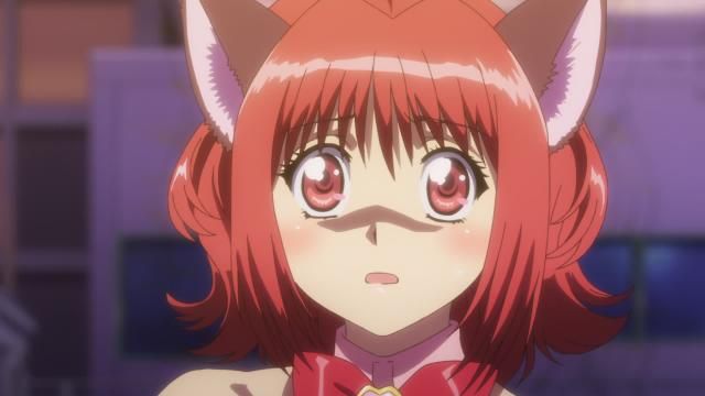 Tokyo Mew Mew New : Photo