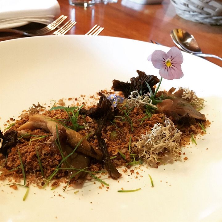 Chef.Fe.S De Brousse : Photo