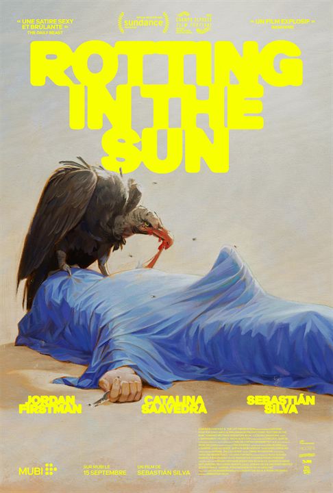 Rotting in the Sun : Affiche