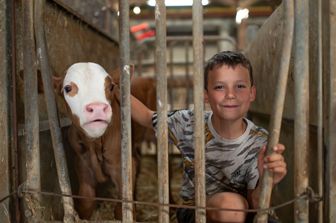 La Ferme des Bertrand : Photo