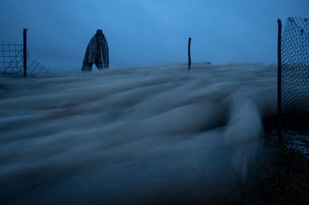 La Dernière transhumance : Photo