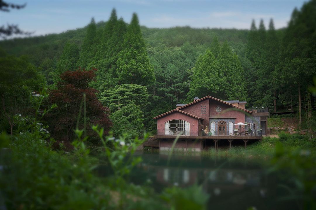 Les Silences de la forêt : Photo