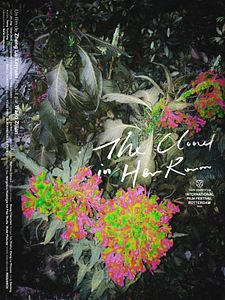 Affiche du film The Cloud in Her Room
