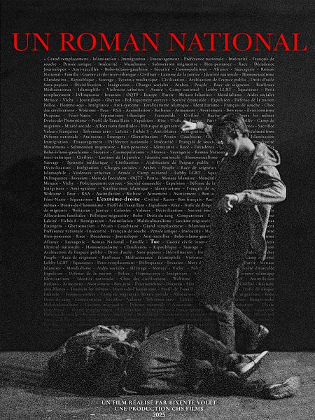 Affiche du film Un roman national