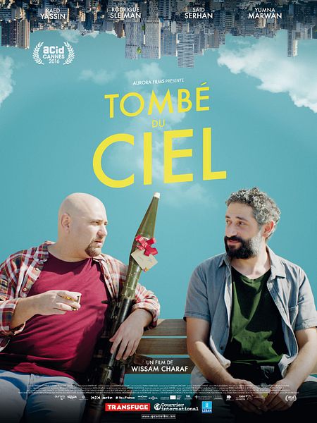 Affiche du film Tombé du ciel