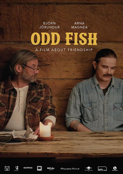 Affiche du film Ljósvíkingar