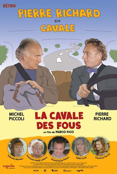 Affiche du film La cavale des fous