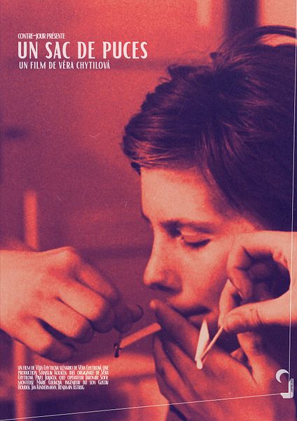 Affiche du film Un sac de puces