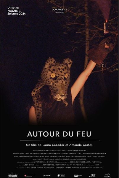 Affiche du film Autour du feu