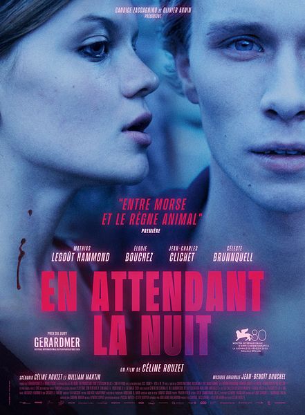 Affiche du film En attendant la nuit