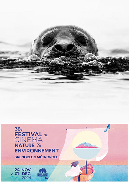 Affiche du film Trésors de l’Arctique : Entre Terre et Mer – Festival du Cinéma Nature et Environnement  2024
