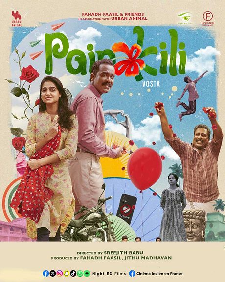 Affiche du film Painkili