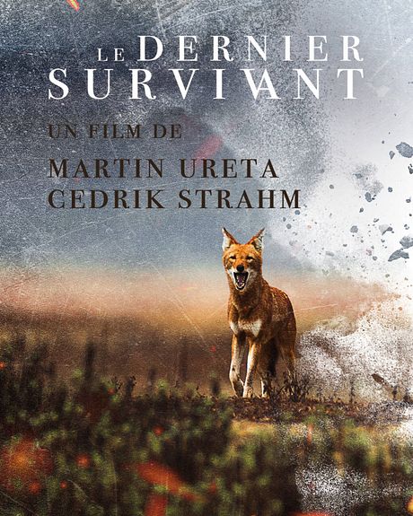 Affiche du film Le Dernier Survivant