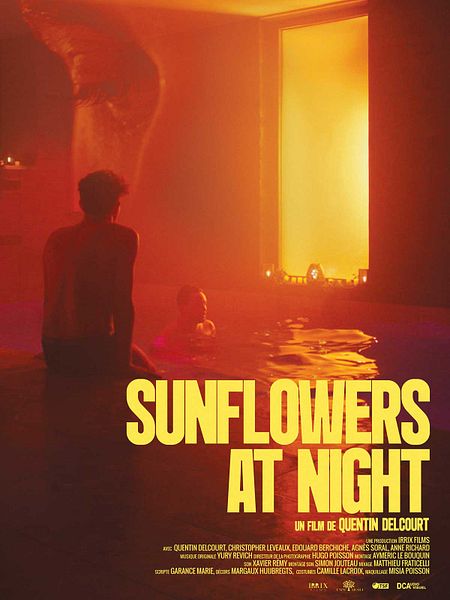 Affiche du film La Nuit des tournesols