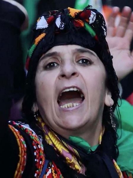 Affiche du film Deux vies pour l'Algérie