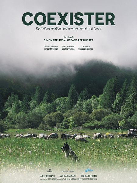 Affiche du film Coexister, récit d’une relation tendue entre humains et loups