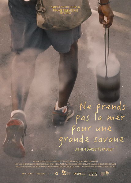Affiche du film Ne prends pas la mer pour une grande savane