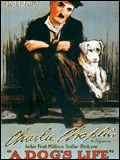 Affiche du film Une Vie de chien
