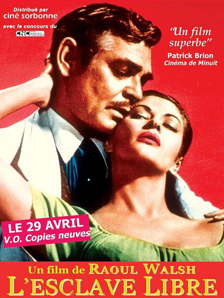 Affiche du film L'Esclave libre