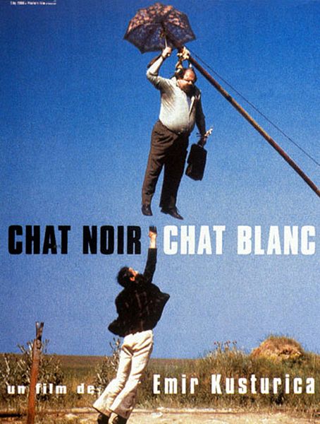 Affiche du film Chat noir, chat blanc