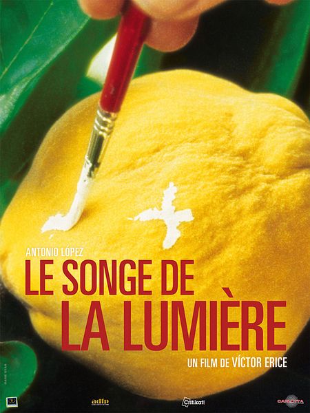 Affiche du film Le Songe de la lumiere
