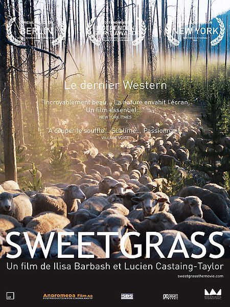 Affiche du film Sweetgrass