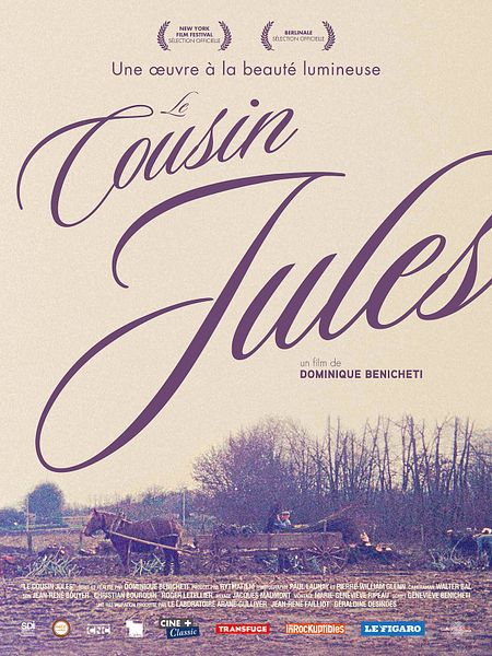 Affiche du film Le cousin Jules