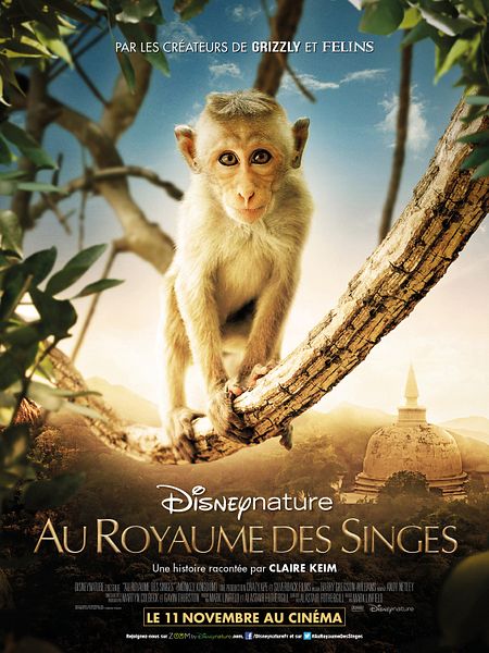 Affiche du film Au Royaume des Singes