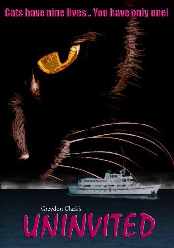Affiche du film Le Clandestin
