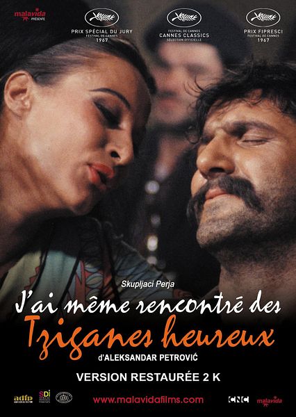 Affiche du film J'ai même rencontré des tziganes heureux