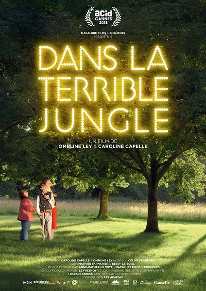 Affiche du film Dans la terrible jungle