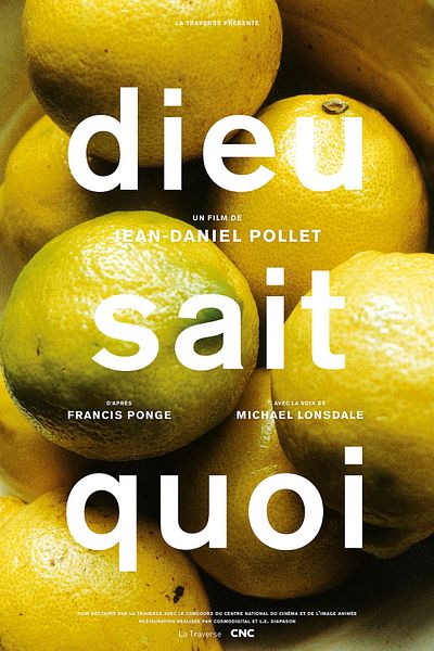 Affiche du film Dieu sait quoi