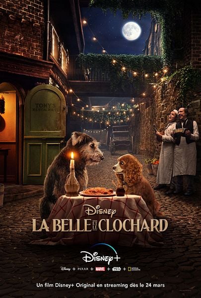 Affiche du film La Belle et le Clochard