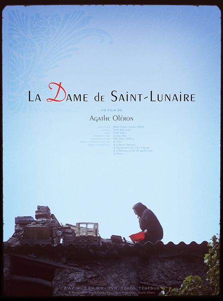 Affiche du film La Dame de Saint Lunaire