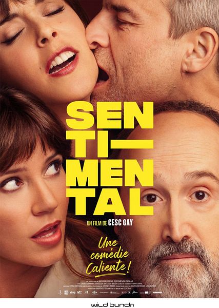Affiche du film Sentimental