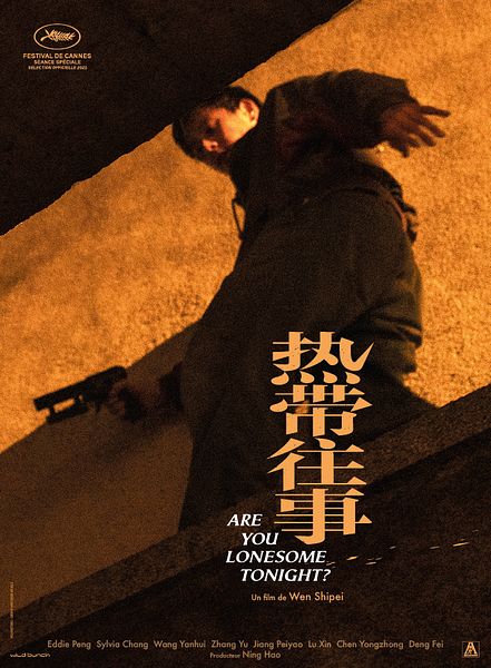 Affiche du film Are You Lonesome Tonight ?