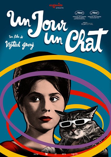 Affiche du film Un Jour un chat