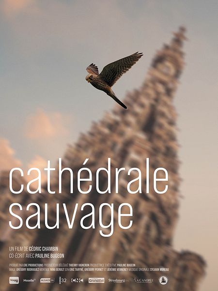 Affiche du film Cathédrale sauvage
