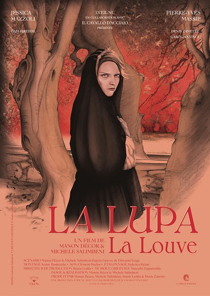 Affiche du film La Louve