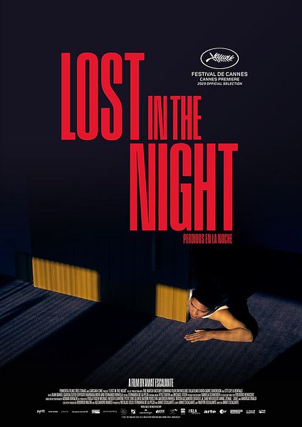 Affiche du film Lost in the Night