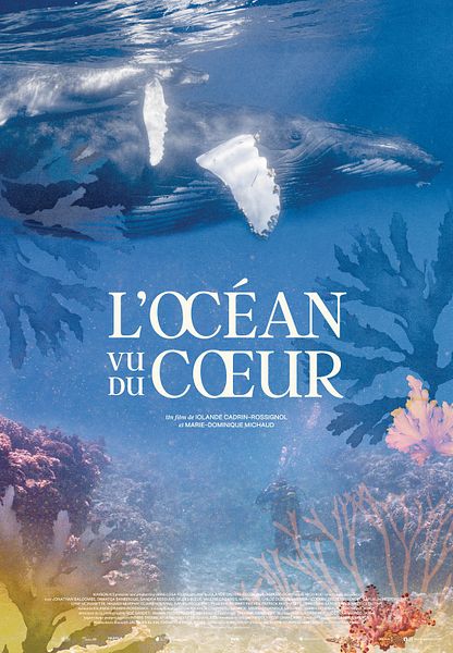Affiche du film L'Océan vu du cœur