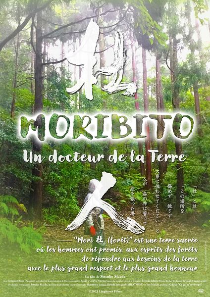 Affiche du film Moribito : Un docteur de la Terre
