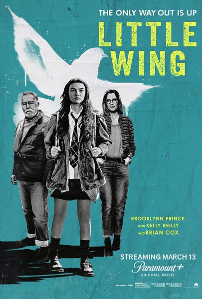 Affiche du film Little Wing