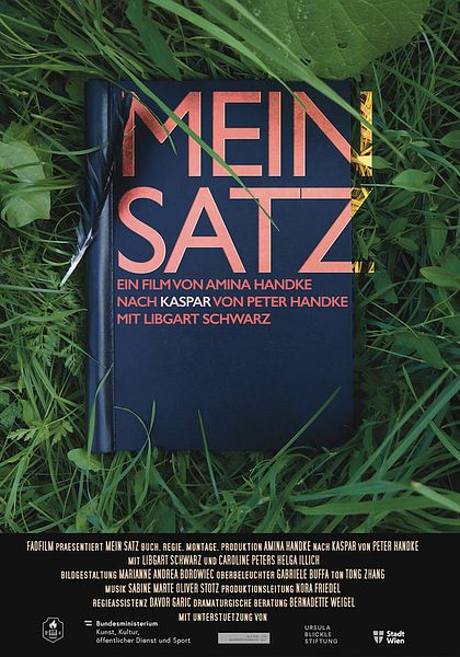 Affiche du film Mein Satz
