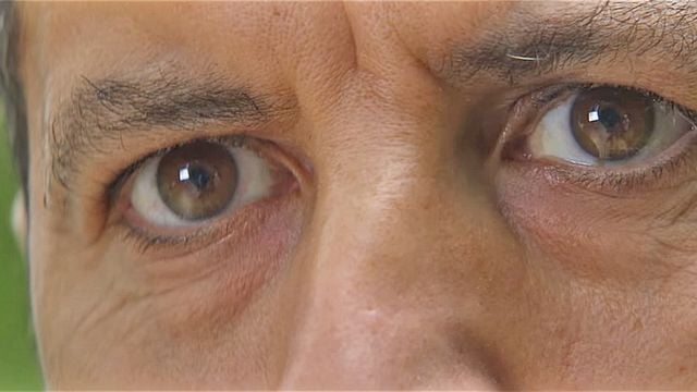 Animal Totem Trailer