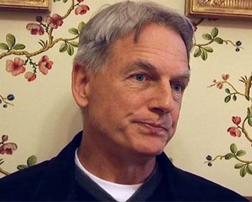 Deuxième partie de notre interview de Mark Harmon, l'interprète de Gibbs dans "NCIS".

L'acteur explique pourquoi le succès de la série est mérité, pourquoi Gibbs n'a jamais de verre dans sa cave et pourquoi la saison 7 a été particulièrement éprouvante pour son personnage...