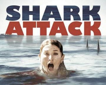 Malibu Shark Attack